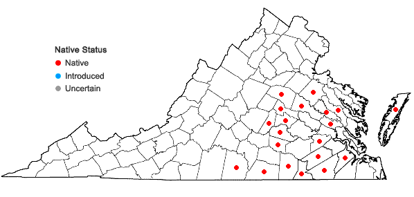 Locations ofTriadenum tubulosum (Walt.) Gleason in Virginia