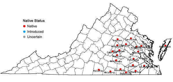 Locations ofTriadenum tubulosum (Walt.) Gleason in Virginia