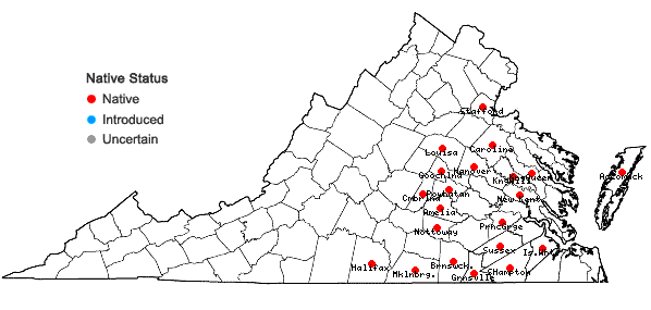 Locations ofTriadenum tubulosum (Walt.) Gleason in Virginia