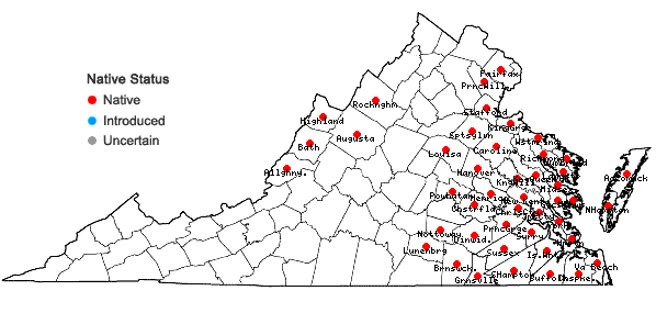 Locations ofTriadenum virginicum (L.) Raf. in Virginia