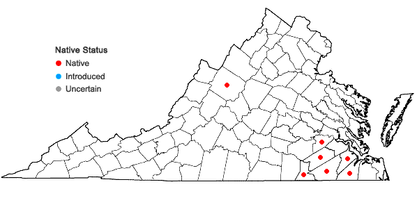 Locations ofTriantha racemosa (Walt.) Small in Virginia