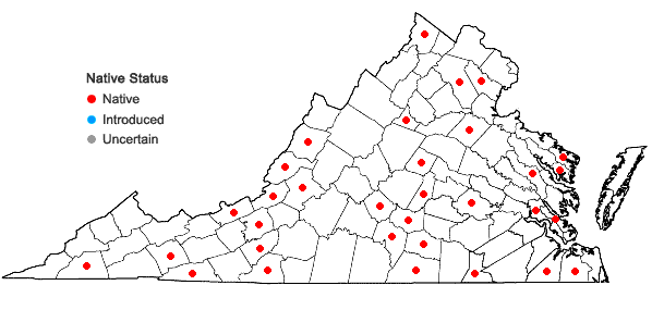 Locations ofTrichocolea tomentella (Ehrh.) Dumort. in Virginia