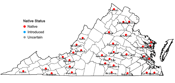 Locations ofTrichocolea tomentella (Ehrh.) Dumort. in Virginia