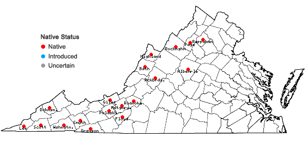 Locations ofTrichostomum tenuirostre (Hook. & Taylor) Lindb. var. tenuirostre in Virginia