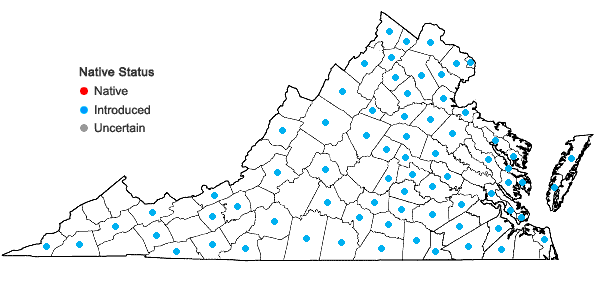Locations ofTrifolium hybridum L. in Virginia