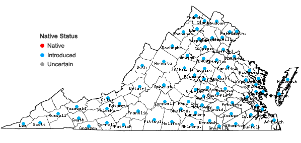 Locations ofTrifolium hybridum L. in Virginia