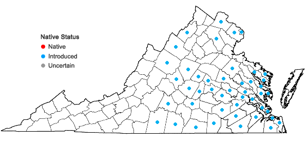 Locations ofTrifolium incarnatum L. in Virginia