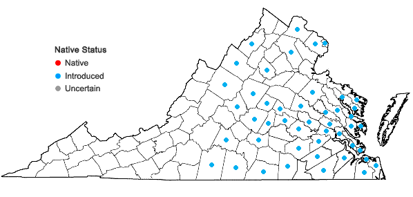 Locations ofTrifolium incarnatum L. in Virginia