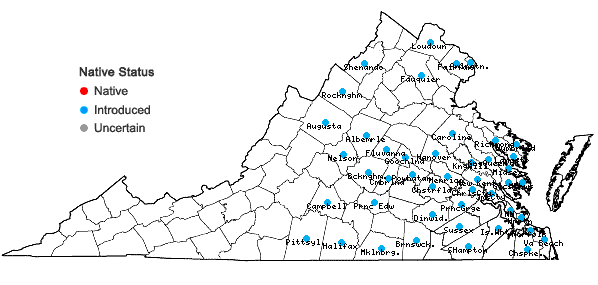 Locations ofTrifolium incarnatum L. in Virginia