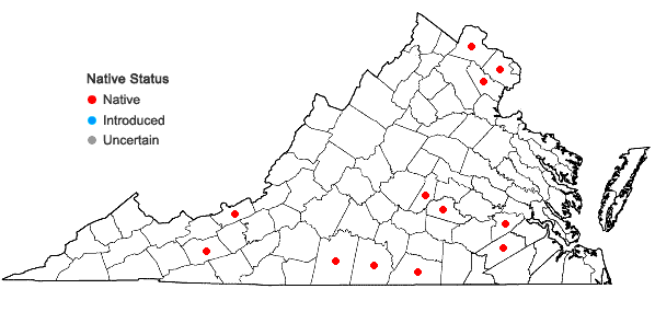 Locations ofTrifolium reflexum L. in Virginia