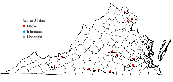 Locations ofTrifolium reflexum L. in Virginia