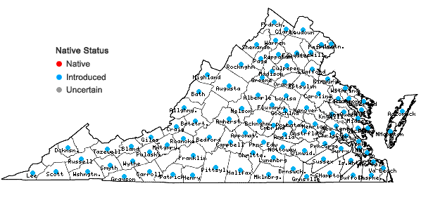 Locations ofTrifolium repens L. in Virginia