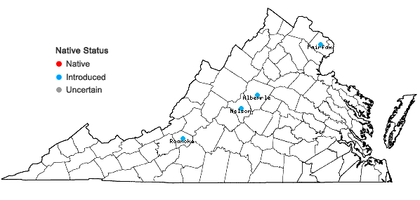 Locations ofTrillium cuneatum Raf. in Virginia