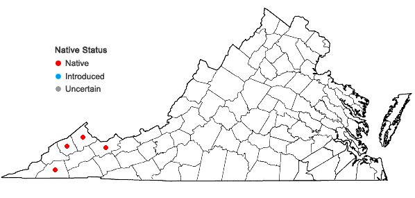 Locations ofTrillium flexipes Raf. in Virginia