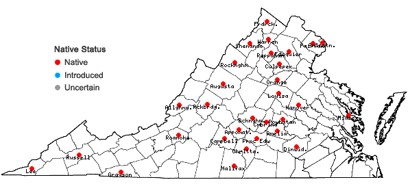 Locations ofTriosteum angustifolium L. in Virginia