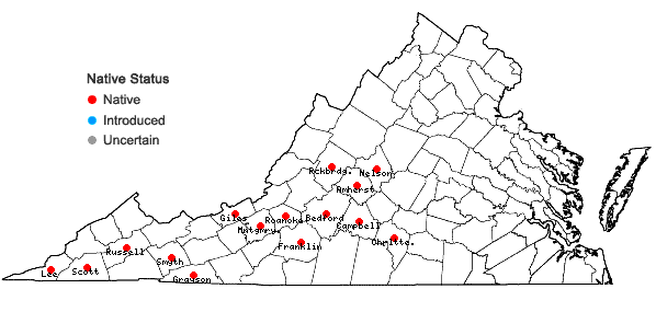 Locations ofTriosteum aurantiacum Bickn. var. aurantiacum in Virginia