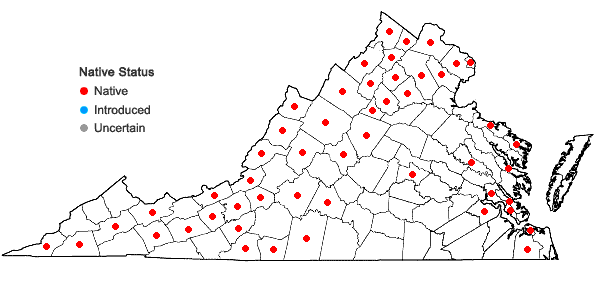 Locations ofTriosteum perfoliatum L. in Virginia
