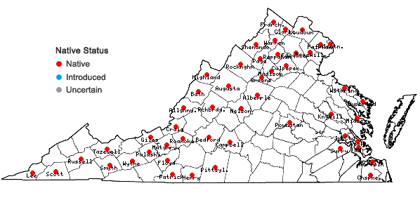 Locations ofTriosteum perfoliatum L. in Virginia