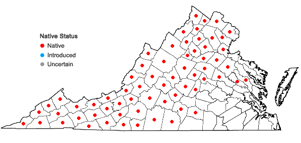 Locations ofTsuga canadensis (L.) Carriere in Virginia