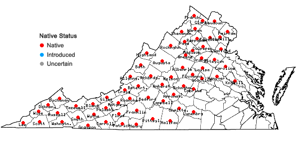 Locations ofTsuga canadensis (L.) Carriere in Virginia