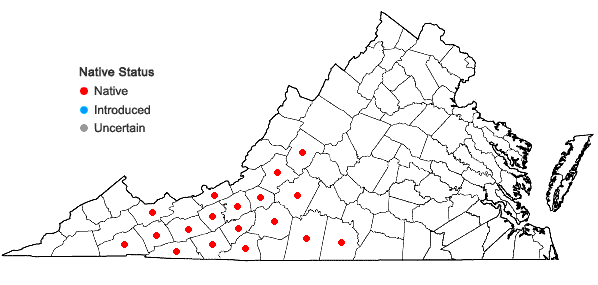 Locations ofTsuga caroliniana Engelm. in Virginia