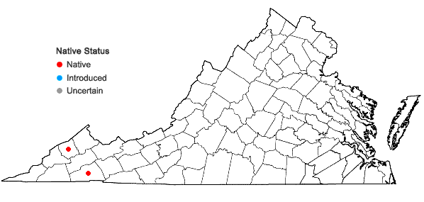 Locations ofTuerckheimia svihlae (E.B. Bartram) R.H. Zander in Virginia