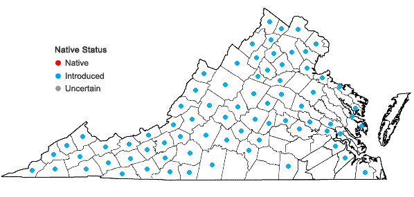 Locations ofTussilago farfara L. in Virginia