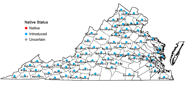 Locations ofTussilago farfara L. in Virginia