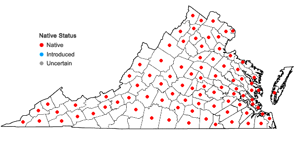 Locations ofUlmus americana L. in Virginia