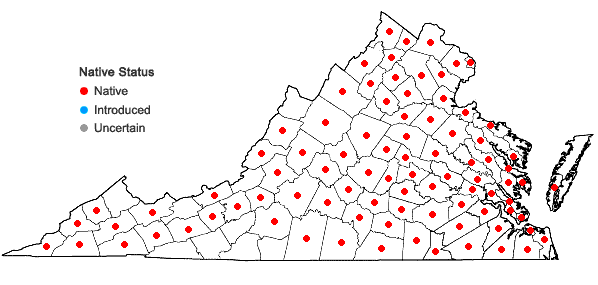 Locations ofUlmus americana L. in Virginia