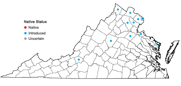 Locations ofUlmus parvifolia Jacq. in Virginia