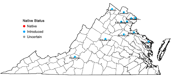 Locations ofUlmus parvifolia Jacq. in Virginia