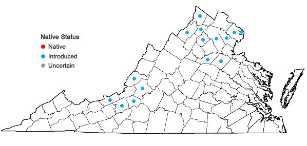 Locations ofUlmus pumila L. in Virginia