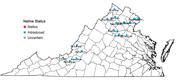 Locations ofUlmus pumila L. in Virginia