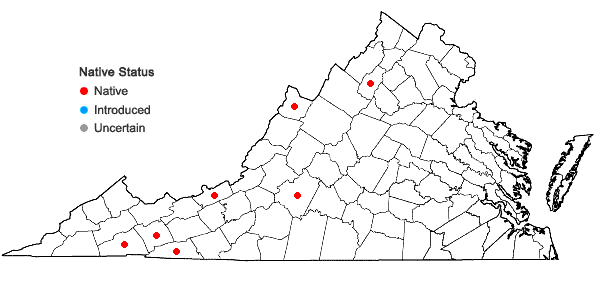 Locations ofUlota coarctata (P. Beauv.) Hammar in Virginia