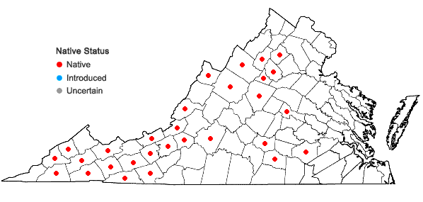 Locations ofUlota crispa (Hedw.) Brid. in Virginia