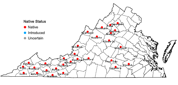 Locations ofUlota crispa (Hedw.) Brid. in Virginia