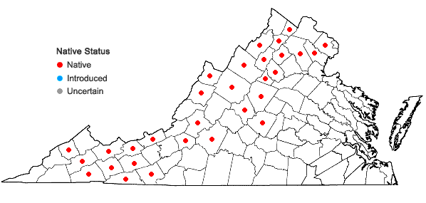 Locations ofUlota hutchinsiae (Sm.) Hammar var. hutchinsiae in Virginia