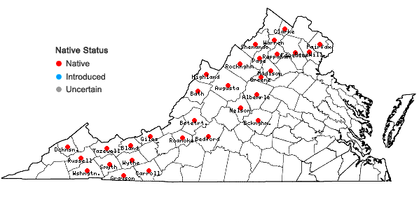 Locations ofUlota hutchinsiae (Sm.) Hammar var. hutchinsiae in Virginia