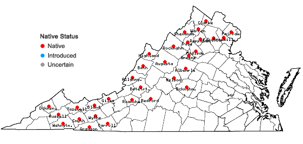 Locations ofUlota hutchinsiae (Sm.) Hammar var. hutchinsiae in Virginia