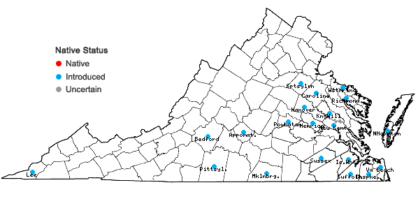 Locations ofUrochloa platyphylla (Munro ex Wright) R. Webster in Virginia