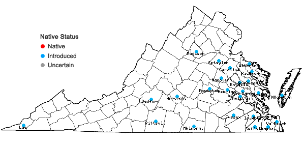 Locations ofUrochloa platyphylla (Munro ex Wright) R. Webster in Virginia