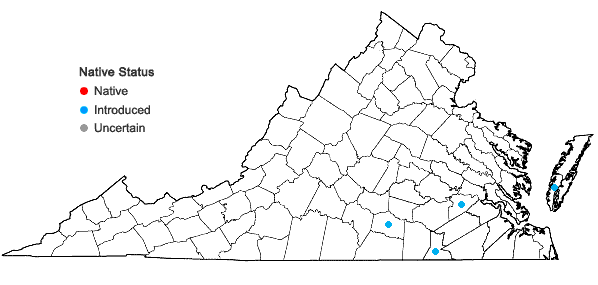 Locations ofUrochloa ramosa (L.) Nguyen in Virginia