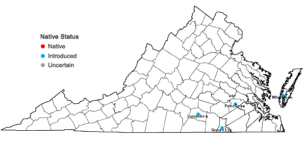 Locations ofUrochloa ramosa (L.) Nguyen in Virginia