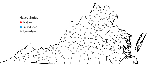 Locations ofUrtica dioica L. + Urtica gracilis Ait. ssp. gracilis in Virginia