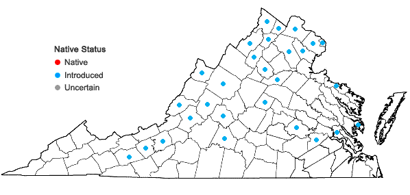 Locations ofUrtica dioica L. in Virginia