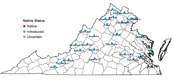 Locations ofUrtica dioica L. in Virginia