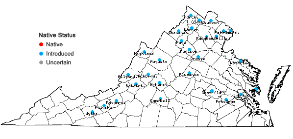 Locations ofUrtica dioica L. in Virginia