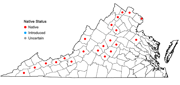 Locations ofUrtica gracilis Ait. ssp. gracilis in Virginia