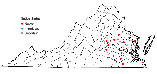 Locations ofUtricularia biflora Lam. in Virginia
